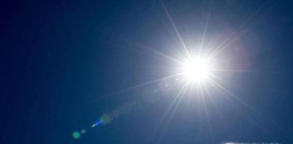 面条生虫怎么办