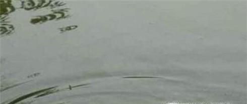 秋天如何钓鲤鱼