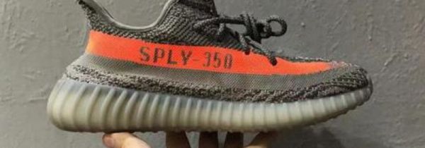 椰子350如何鉴定