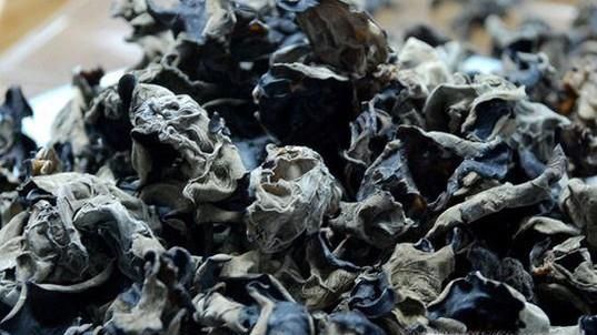 怎么样辨别真假黑木耳
