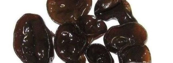 怎么样辨别真假黑木耳