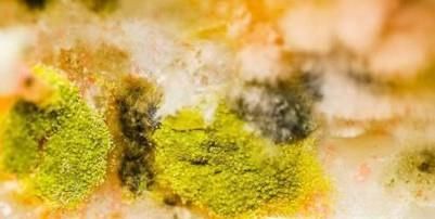 过期食物还能吃吗？