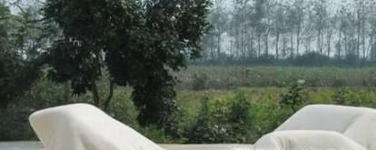 怎么样消灭臭虫