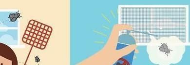 怎么样消灭臭虫