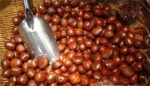 煮熟的栗子怎么保存