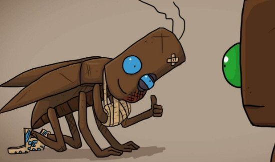 高楼层的蟑螂从哪里来的