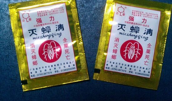 高楼层的蟑螂从哪里来的