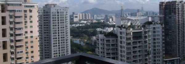 高楼层的蟑螂从哪里来的