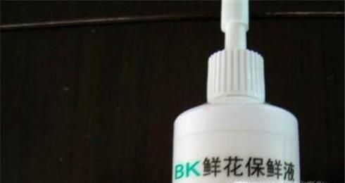 从花店买回的鲜花如何保鲜？