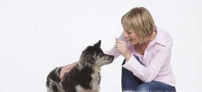 怎样阻止狗狗早上狂叫