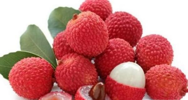 男人肾虚如何补回来