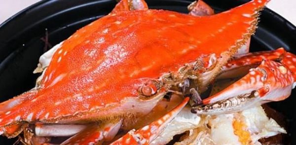 男人肾虚如何补回来