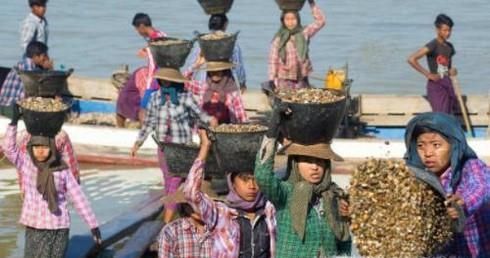 缅甸人嫁到中国怎么办