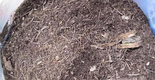 松针土的制作方法