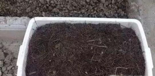 松针土的制作方法