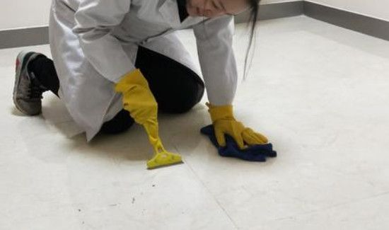 家里没开窗蝙蝠怎么进来的