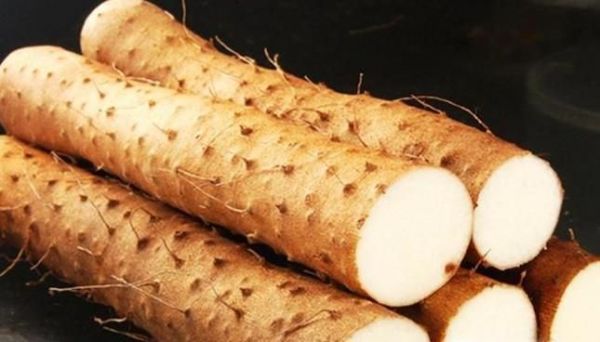 教你如何挑选优质好山药