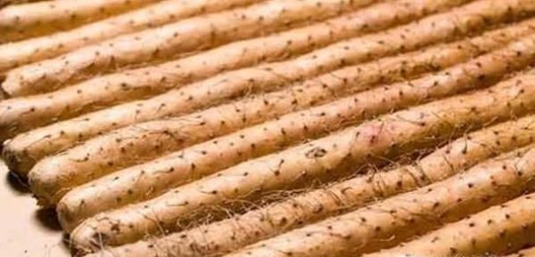 教你如何挑选优质好山药