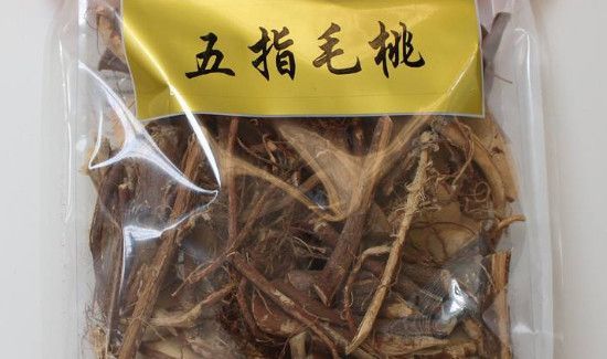 五指毛桃泡酒有什么功效