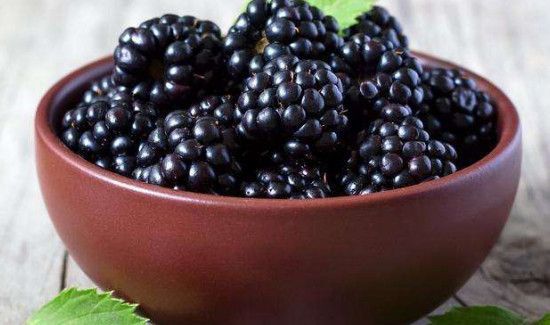 黑树莓的禁忌