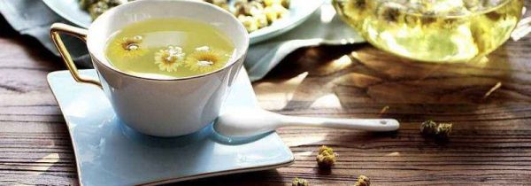 野生胎菊泡水喝起什么作用