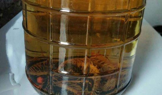 蜈蚣泡酒能喝吗