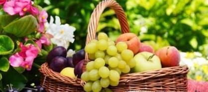 上坟忌讳带什么水果