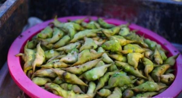 鲜菱角如何保存