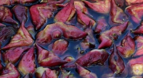 鲜菱角如何保存