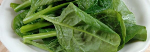 木耳菜和什么菜相克