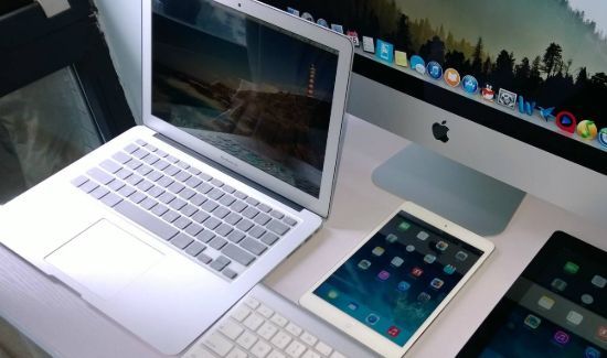 仙人掌能防止电脑辐射吗