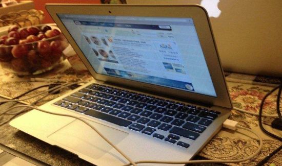 仙人掌能防止电脑辐射吗