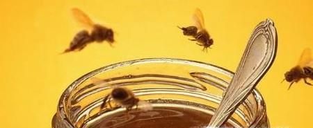 如何辨别蜂蜜的好坏？怎么挑选蜂蜜