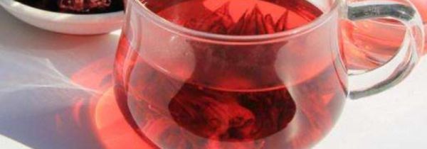 月季花泡酒功效和作用