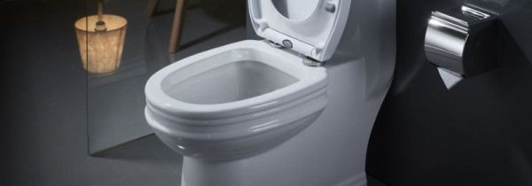 蜈蚣冲下马桶会淹死吗