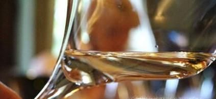 如何品葡萄酒？