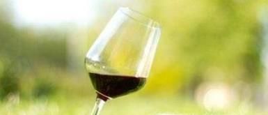 如何品葡萄酒？