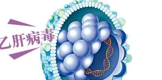 骆驼奶营养价值