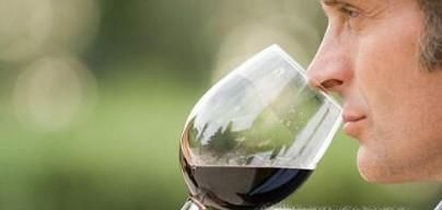 如何品葡萄酒？