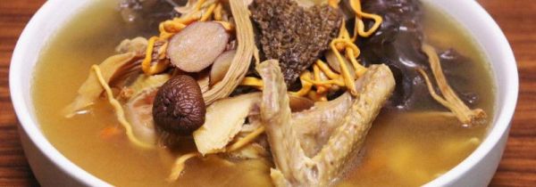 鸽子不能和什么食物一起吃吗