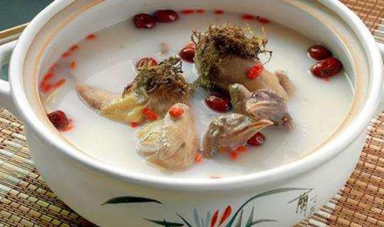 鸽子不能和什么食物一起吃吗