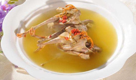 鸽子不能和什么食物一起吃吗