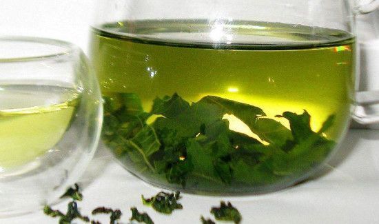 枣树叶泡水喝的功效与作用