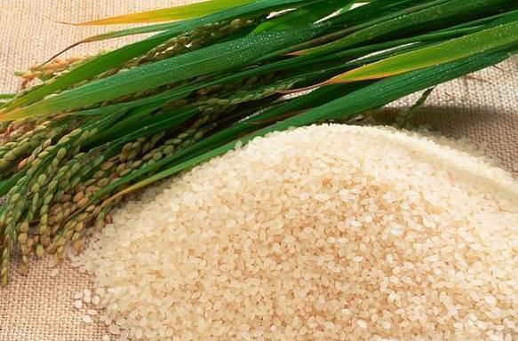 如何选择健康米粉？记住八点远离重金属危害！