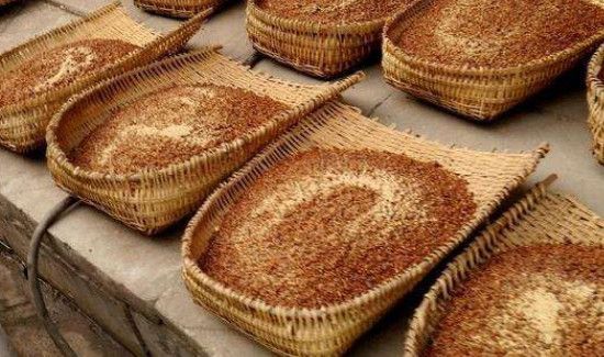 100斤高粱能酿多少酒