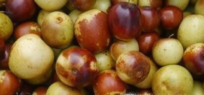 女人吃枣子有什么好处,每天吃几个枣好