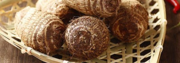 毛芋头发芽了以后能吃吗