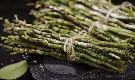 鲜石斛每天吃多少合适