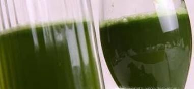 金线莲吃法与功效？