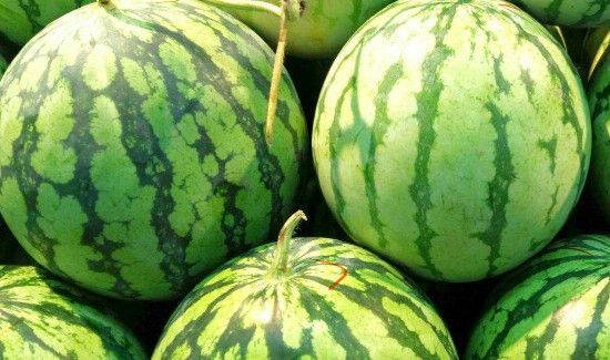 怎么知道西瓜成熟可摘了